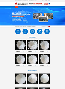 新華發粉體廠-營銷型網站建設案例